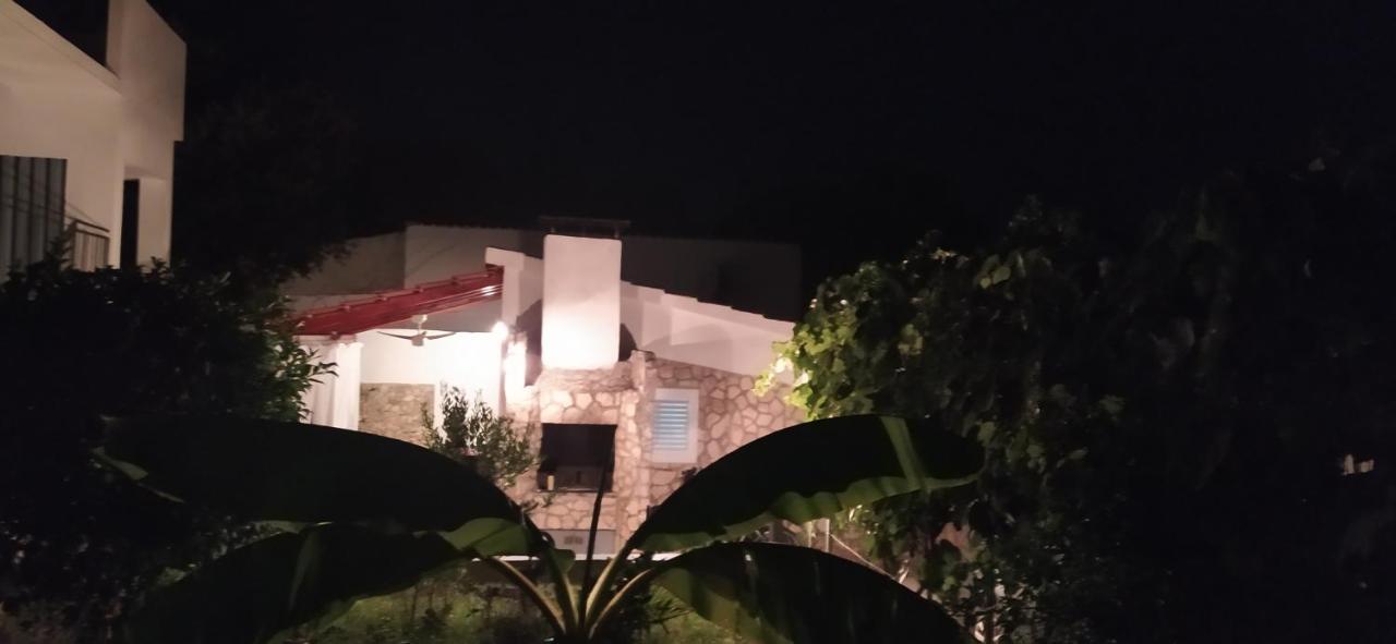 Ražanj Apartment Lavanda Nova מראה חיצוני תמונה