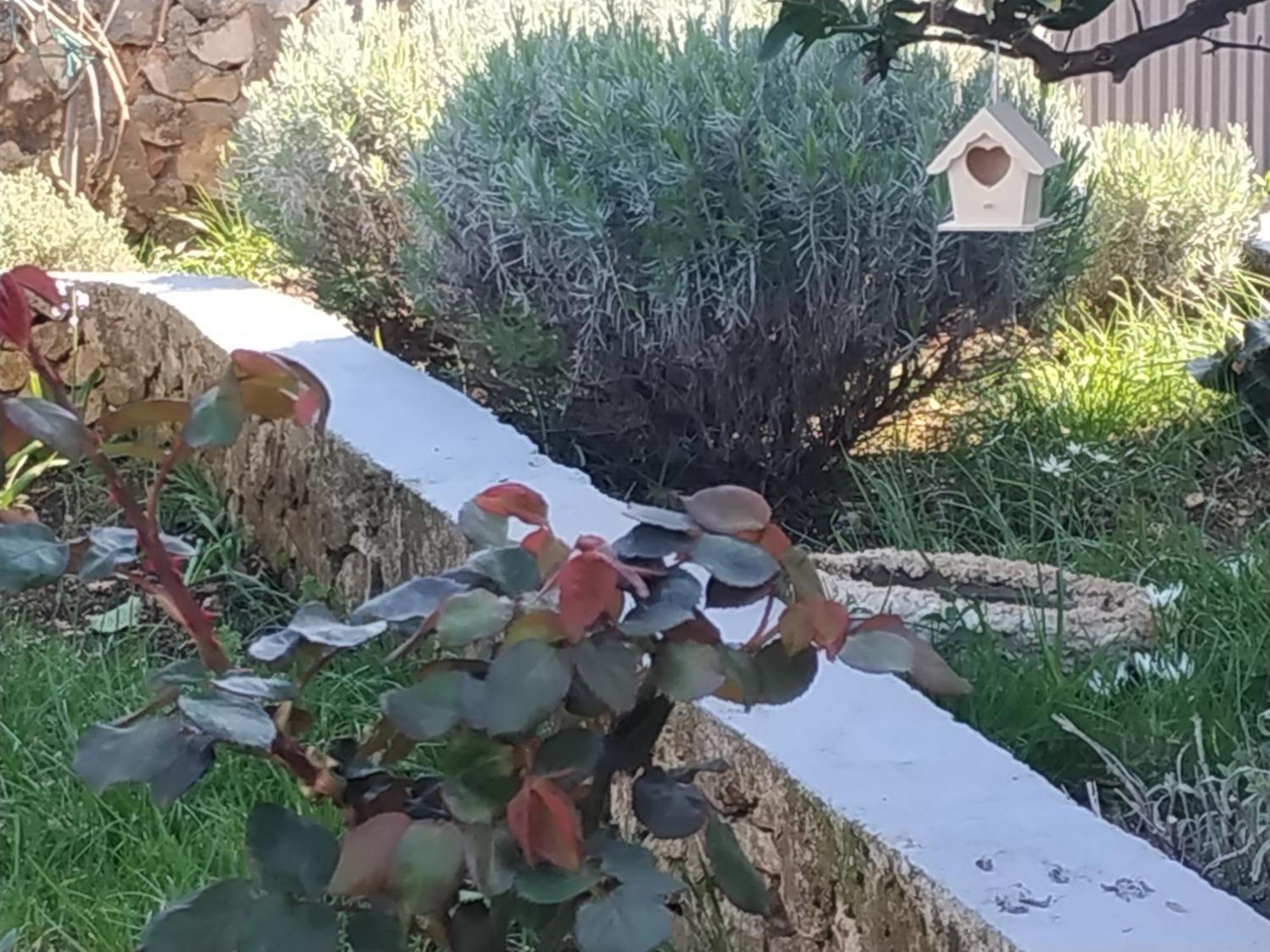 Ražanj Apartment Lavanda Nova מראה חיצוני תמונה