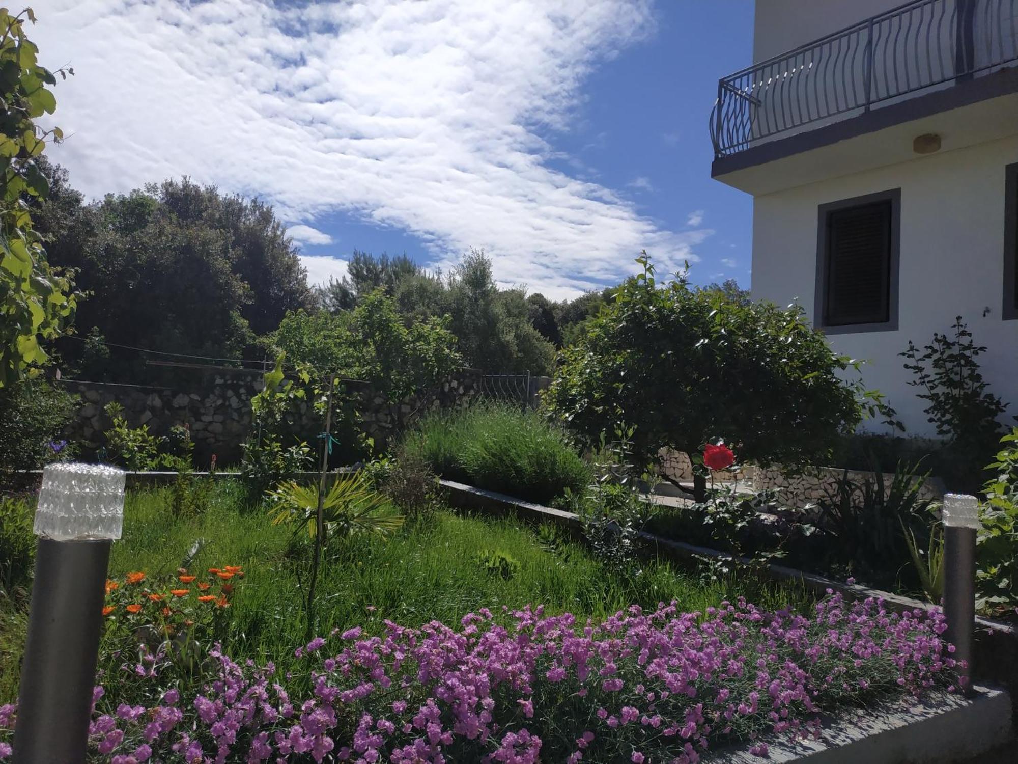 Ražanj Apartment Lavanda Nova מראה חיצוני תמונה