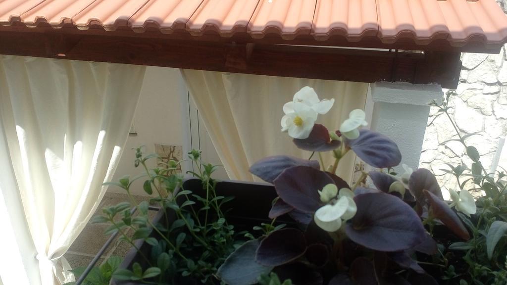 Ražanj Apartment Lavanda Nova מראה חיצוני תמונה