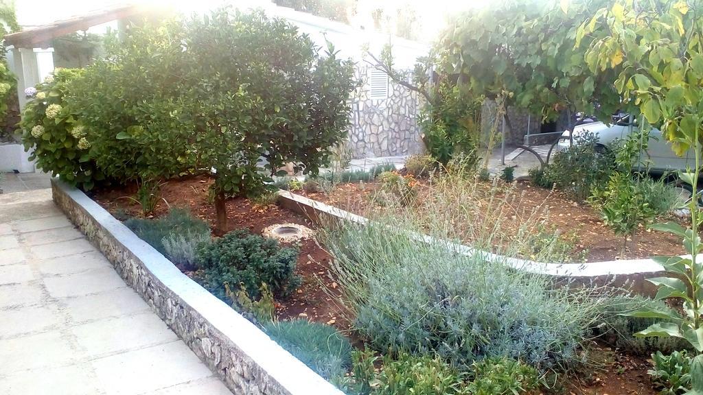 Ražanj Apartment Lavanda Nova מראה חיצוני תמונה