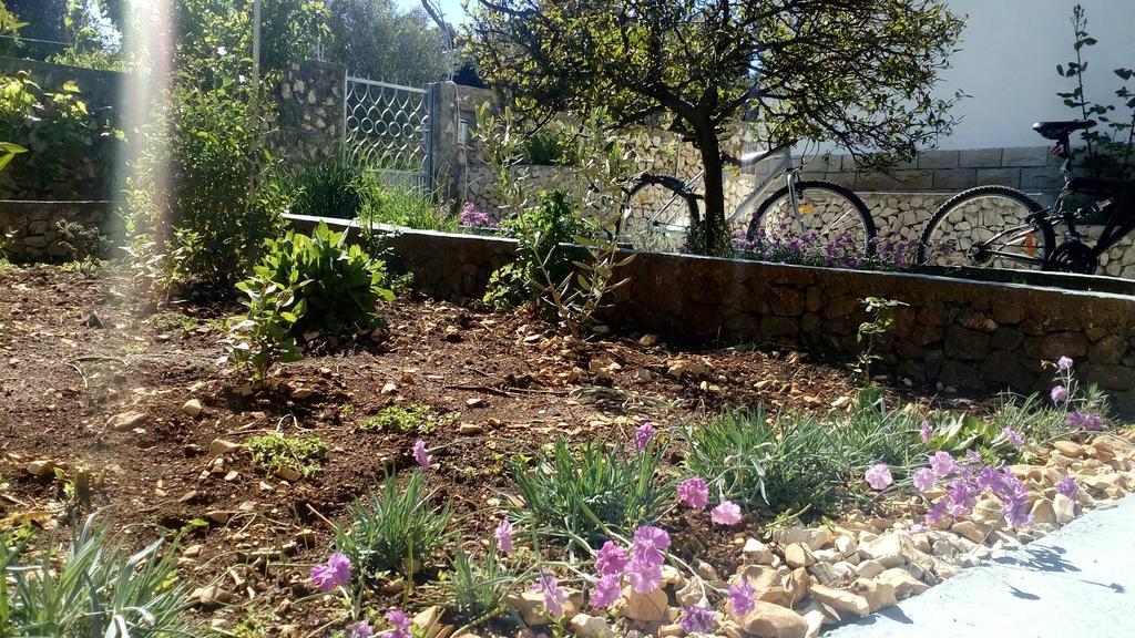 Ražanj Apartment Lavanda Nova מראה חיצוני תמונה