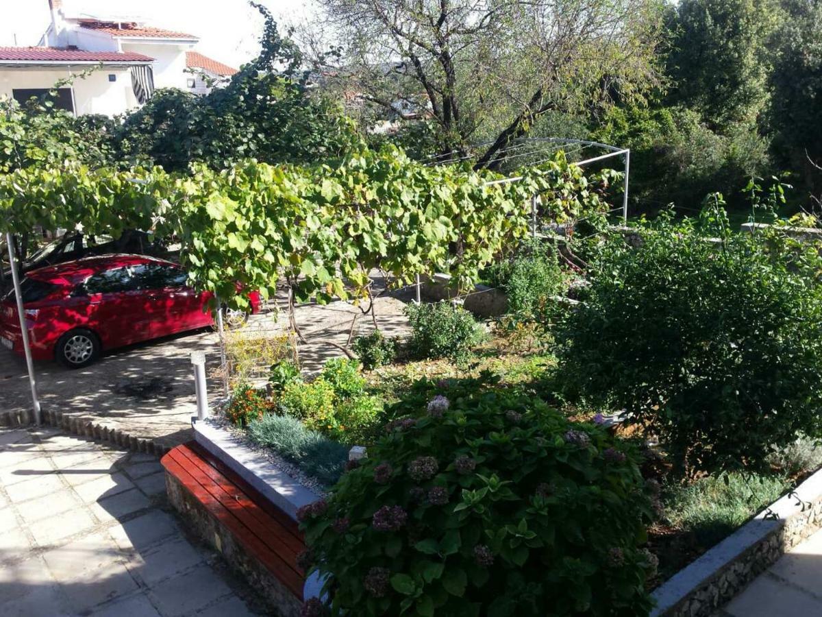Ražanj Apartment Lavanda Nova מראה חיצוני תמונה