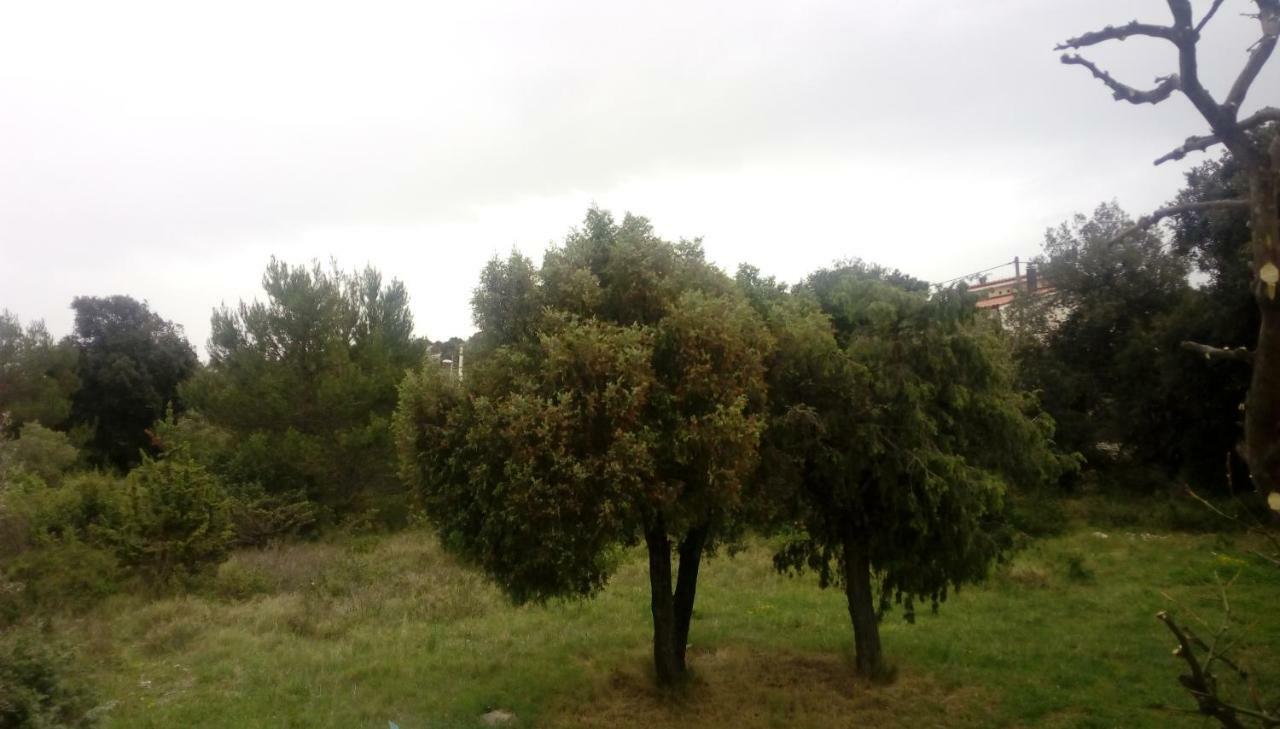 Ražanj Apartment Lavanda Nova מראה חיצוני תמונה