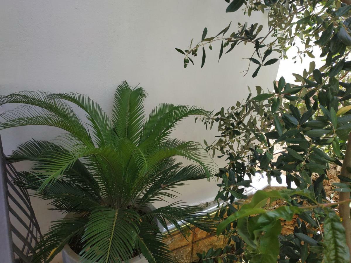 Ražanj Apartment Lavanda Nova מראה חיצוני תמונה